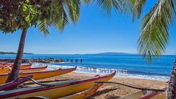 House, 3 Bedrooms | Property grounds