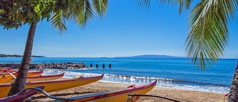 House, 3 Bedrooms | Property grounds