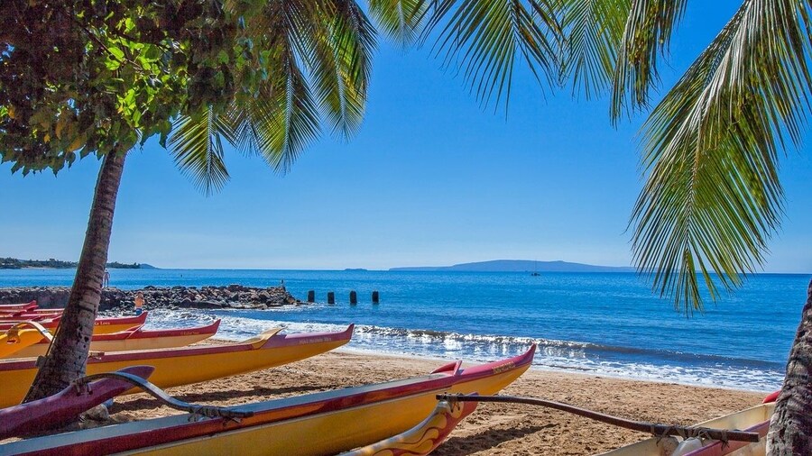 Koki Place 3 Bedroom Home