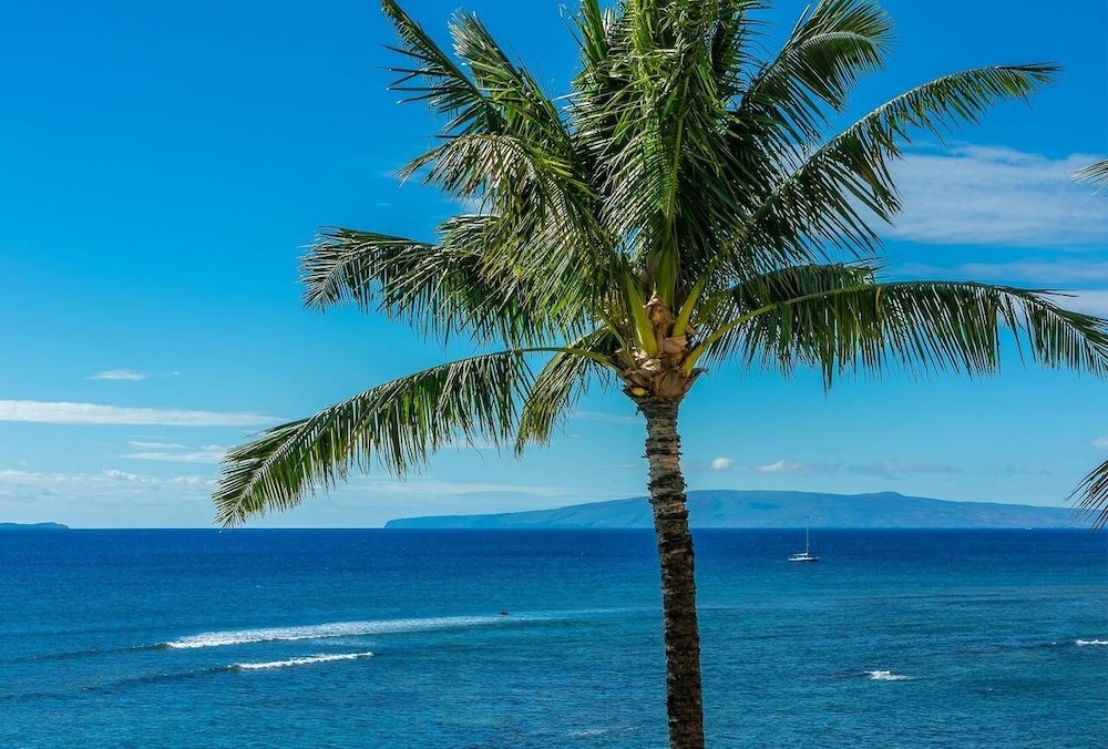Maui Island Sands Resort photo 6