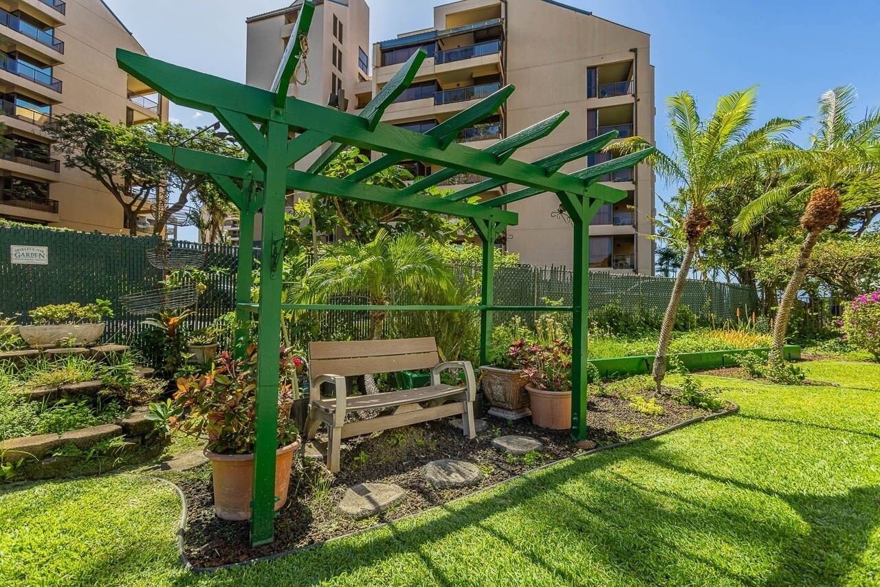 Een tuin met een houten bankje, een groene pergola en potplanten.