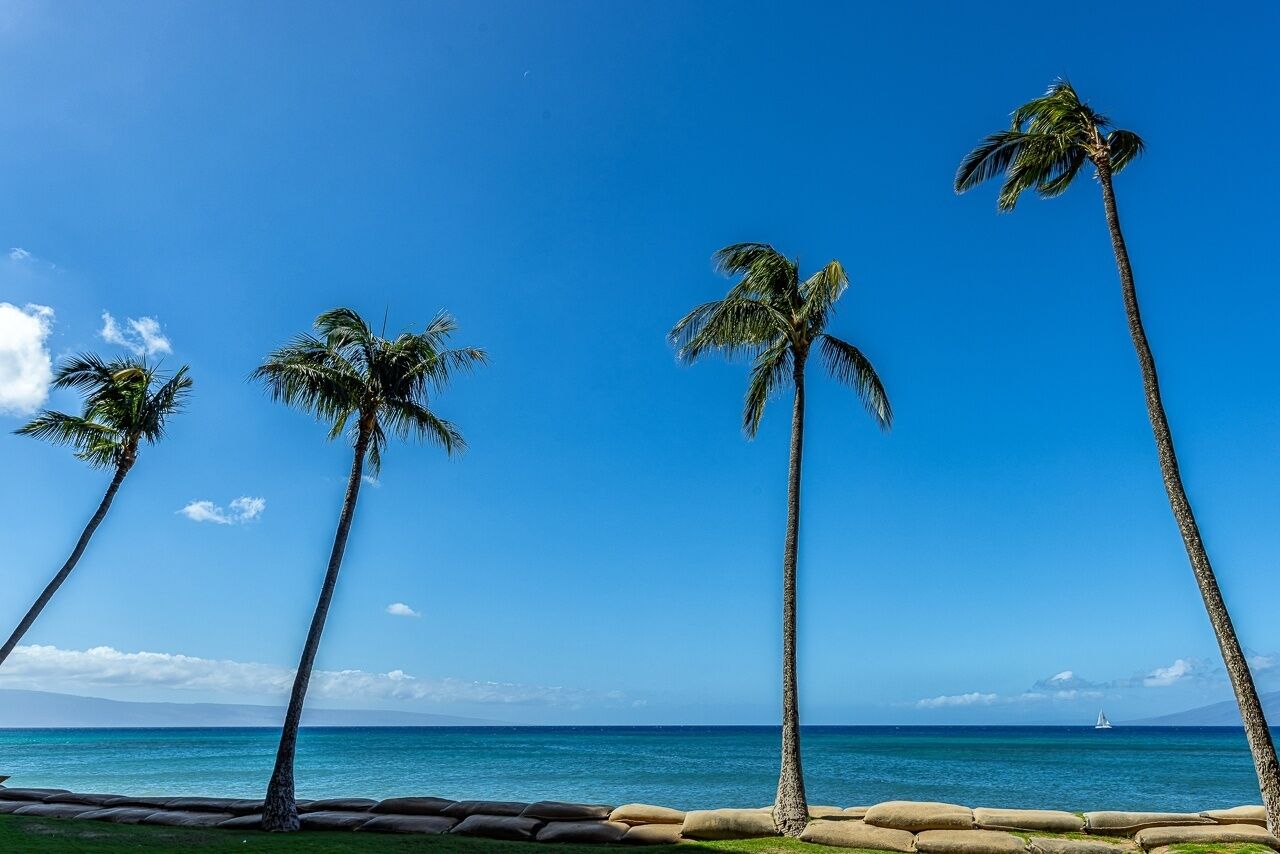 Condo, 2 Bedrooms | Beach | On the beach