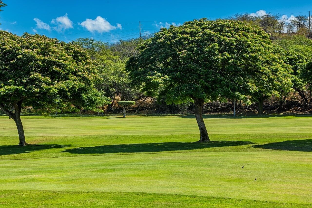 A well-maintained golf course with lush green grass and mature trees.
