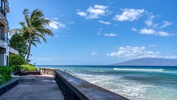 Studio | Beach | On the beach