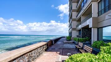 Studio | Property grounds