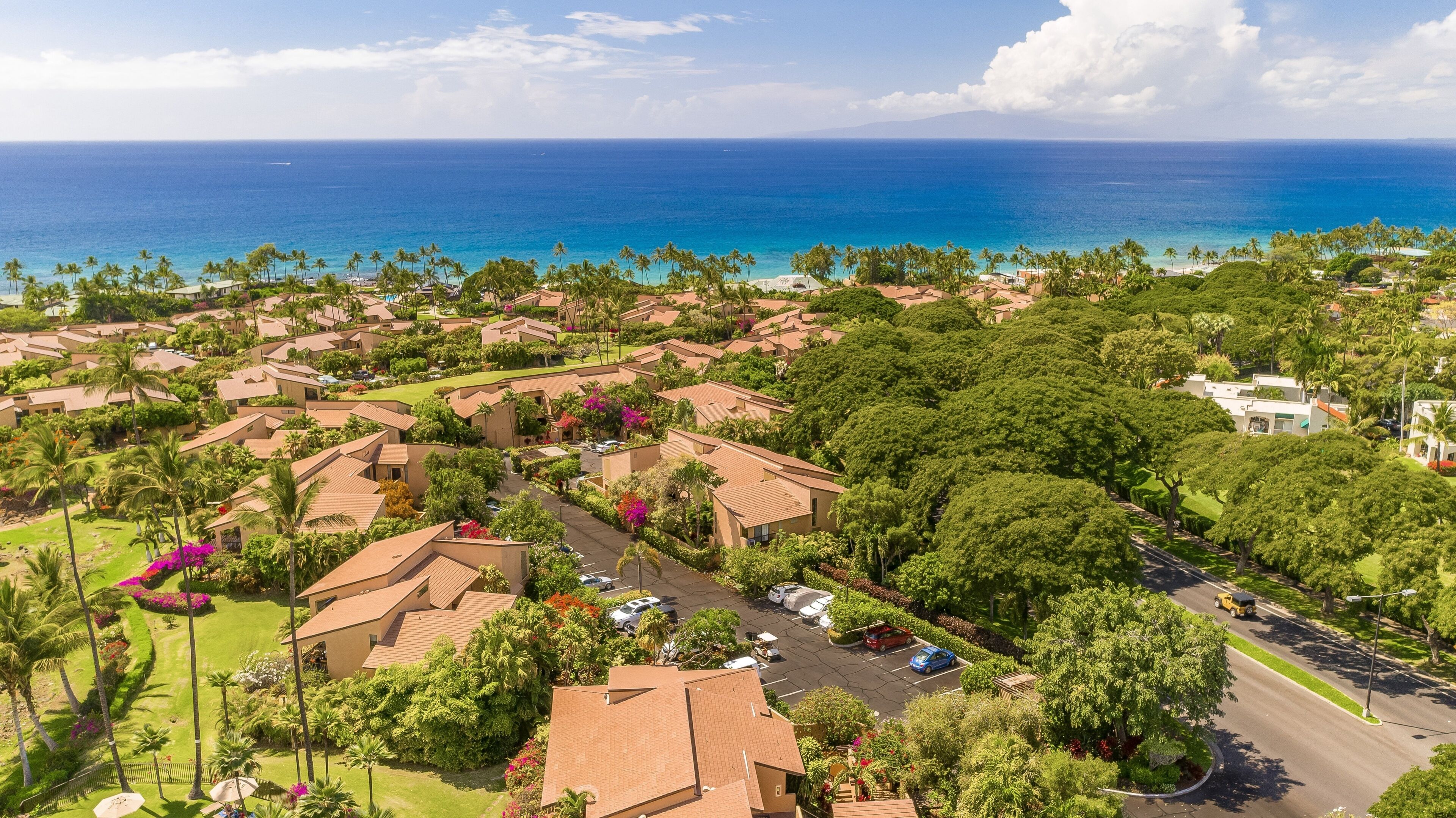 A residential area with houses, a road, and a view of the ocean.