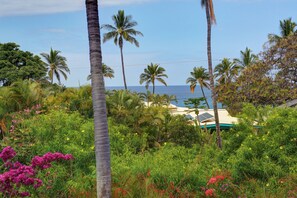 Un paisaje tropical con palmeras, una playa y un edificio con panel solar.