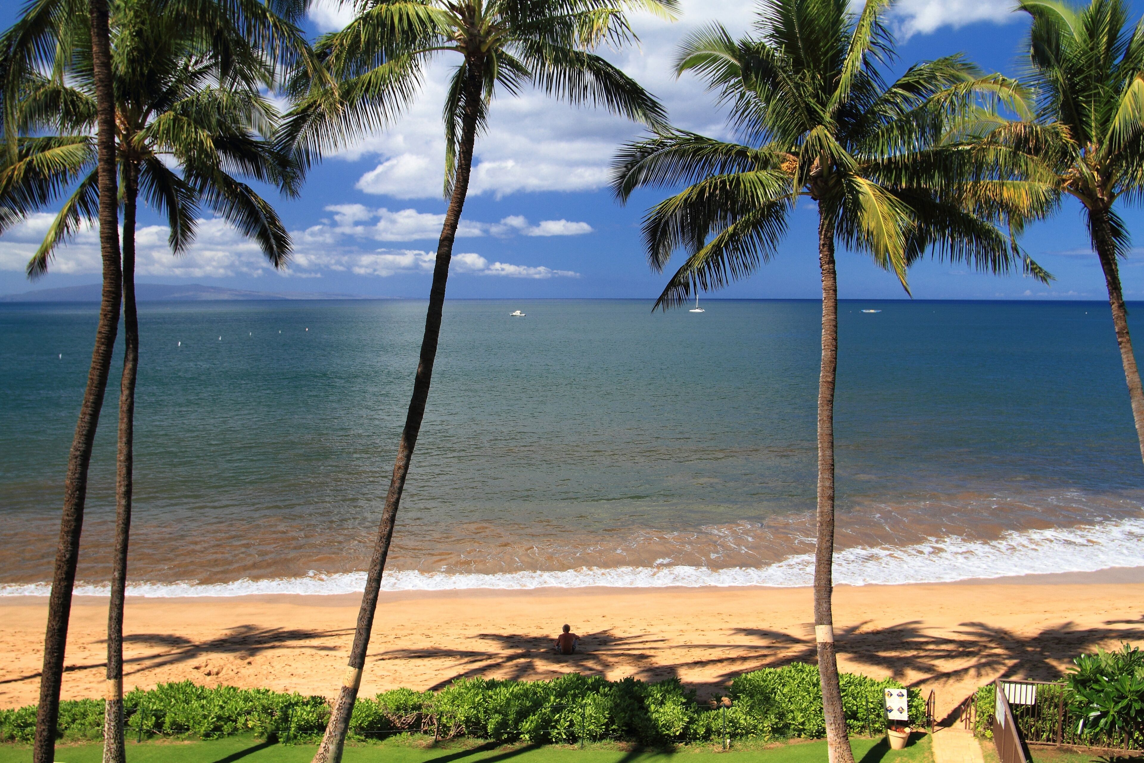 Condo, 2 Bedrooms | Beach | On the beach