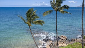 A coastal view with clear blue water, rocky shoreline, and two palm trees. - Kamaole Nalu, #102 2 Bedroom Condo by RedAwning (Kihei)