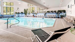Una piscina interior con agua cristalina, rodeada de sillones de descanso y plantas en macetas.