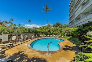 Condo, 1 Bedroom | Pool - Kamaole Beach Royale 206 1 Bedroom Condo (Kihei)