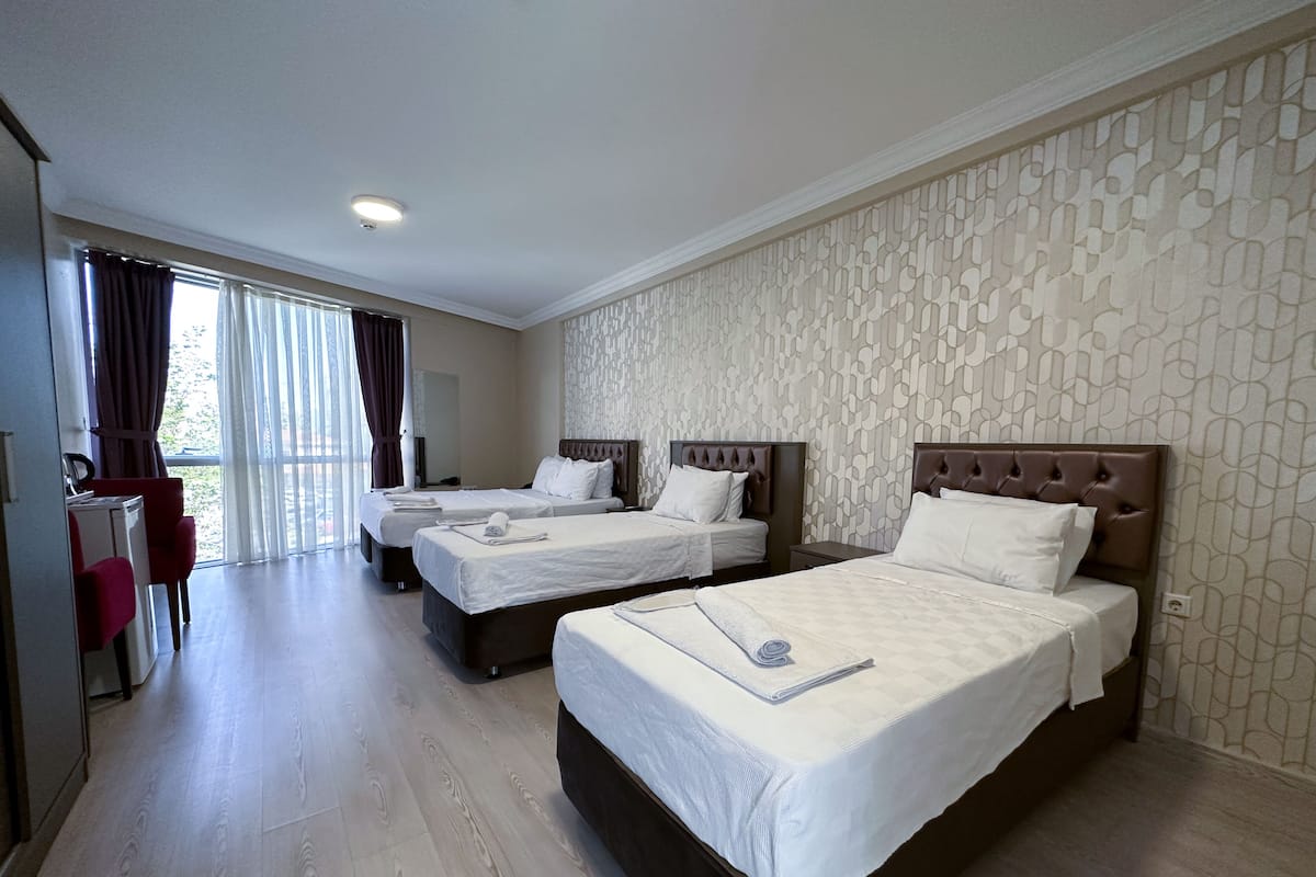 Minibar, desk, blackout curtains, soundproofing