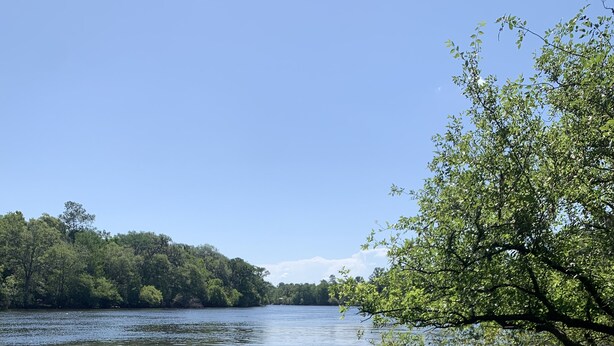 Een houten steiger die uitstelt over kalm water, met een helder zicht op een bebost oever.