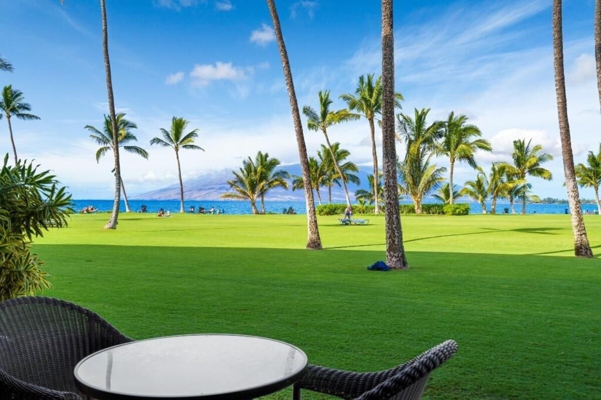 A grassy area with palm trees and a view of the ocean.