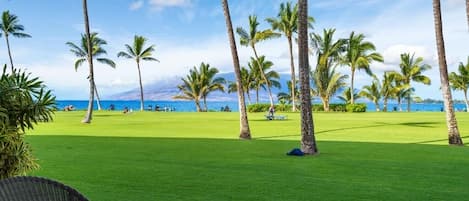 Condo, 1 Bedroom | Property grounds