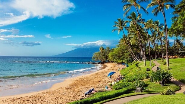 Condo, 1 Bedroom | Beach - Wailea Elua, #1309 1 Bedroom Condo by RedAwning (Kihei)