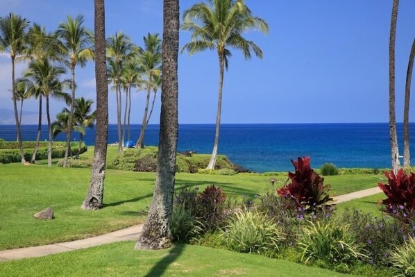 Condo, 1 Bedroom | Property grounds