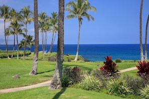 Property grounds - Wailea Elua, #1309 1 Bedroom Condo by RedAwning (Kihei)