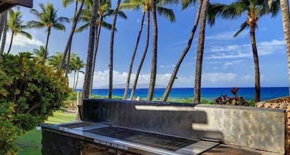 Wailea Ekahi, #33b 1 Bedroom Condo by RedAwning