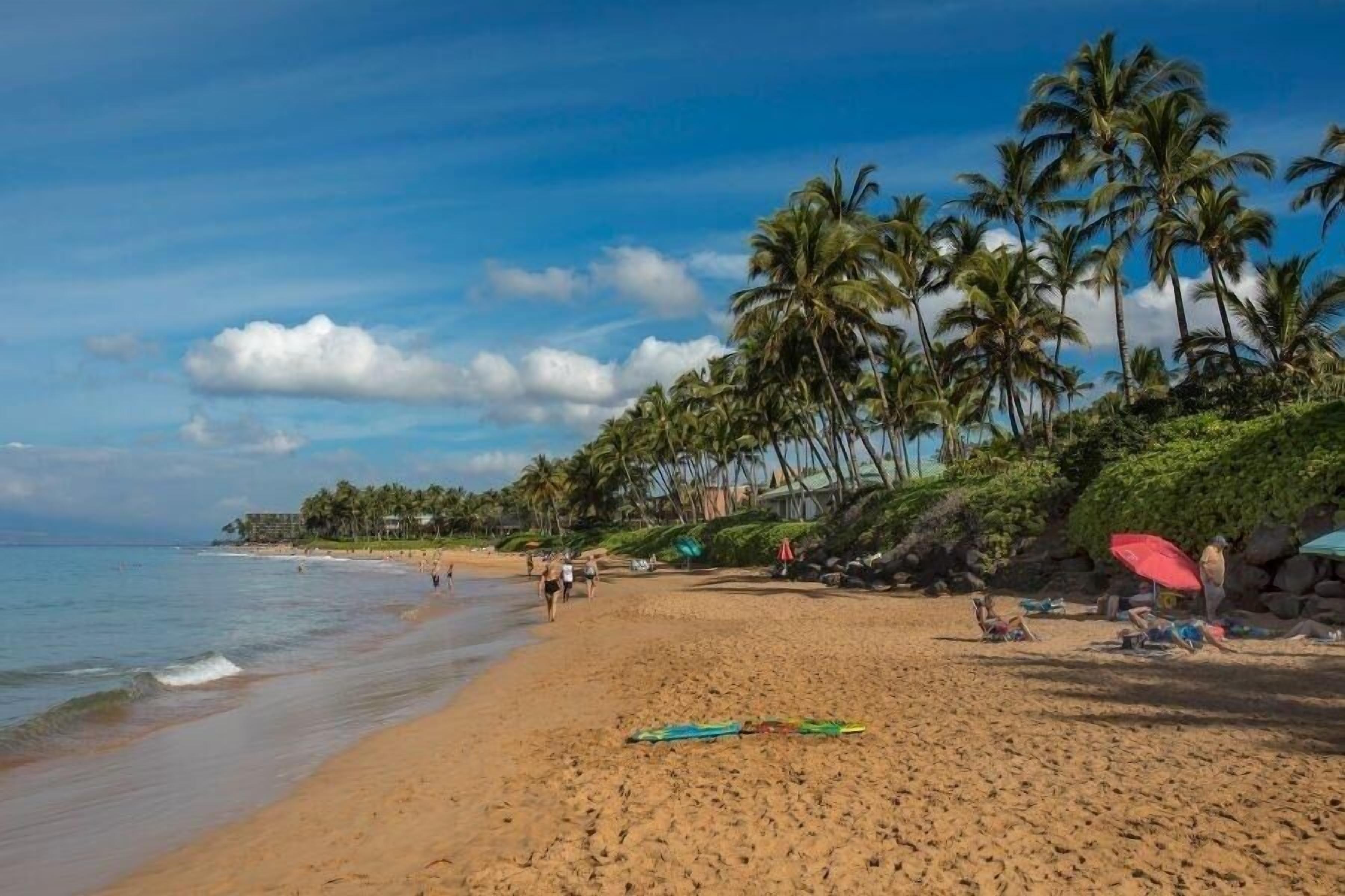 Condo, 1 Bedroom | Beach | Beach nearby