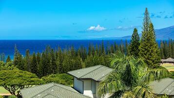 Condo, 1 Bedroom | Property grounds