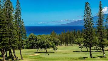 Condo, 1 Bedroom | Golf