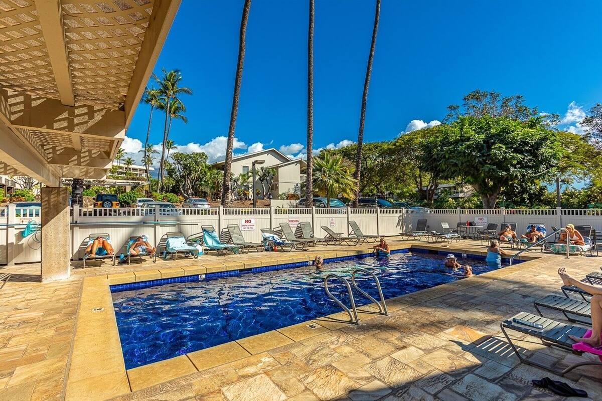Ein Poolbereich mit Liegestühlen und Palmen.