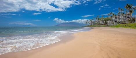 A beach with a clear sky, ocean waves, and a mountain in the distance.