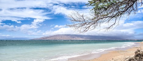 Appartement, 1 slaapkamer | Strand | Accommodatie ligt op het strand