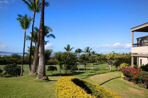 Condo, 2 Bedrooms | Property grounds - Wailea Ekolu, #401 2 Bedroom Condo by RedAwning (Kihei)