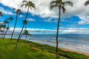 Condo, 1 Bedroom | Beach | On the beach - Sugar Beach Resort, #329 1 Bedroom Condo by RedAwning (Kihei)