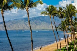 Condo, 1 Bedroom | Beach | On the beach - Kihei Beach, #404 1 Bedroom Condo by RedAwning (Kihei)