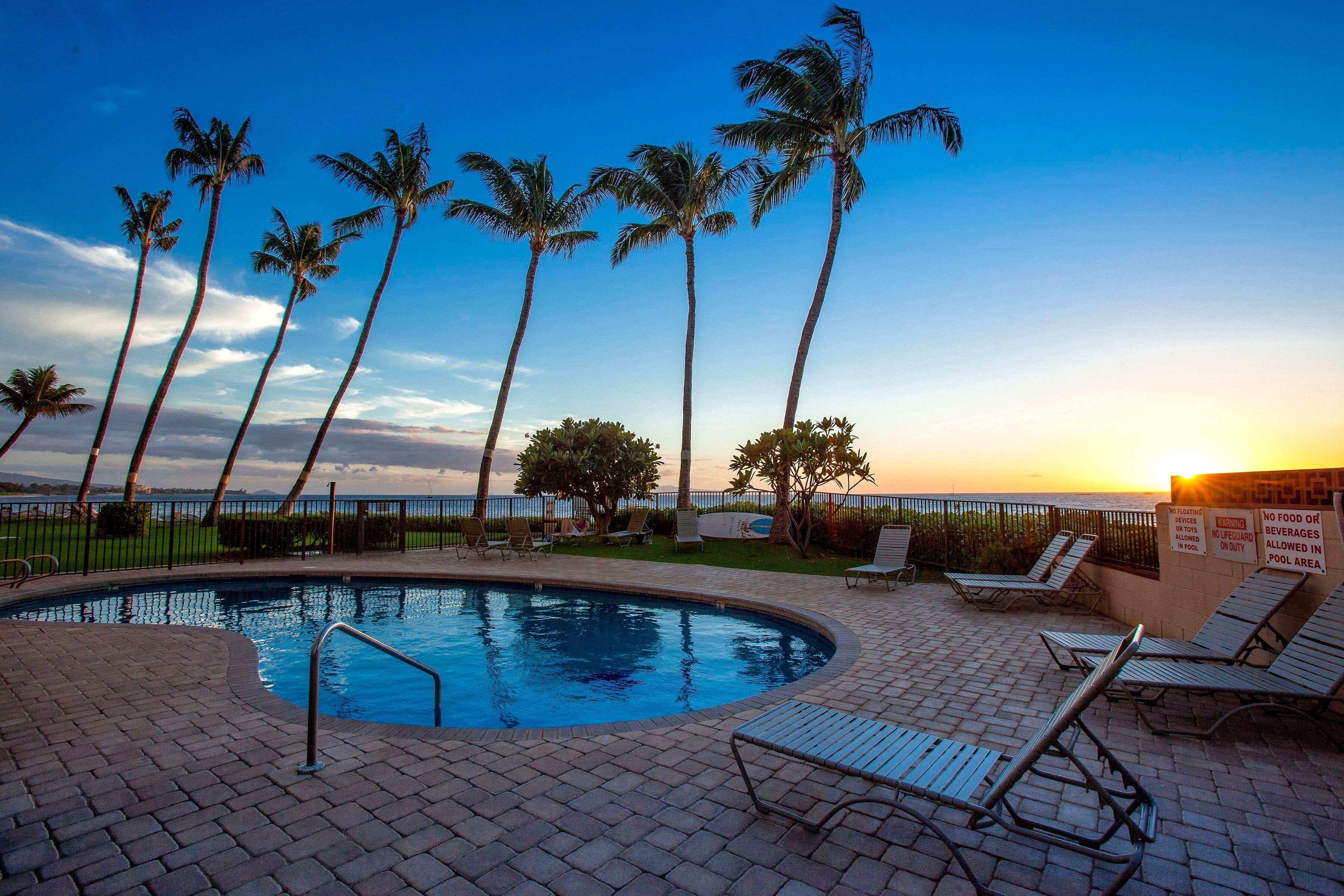 Condo, 1 Bedroom | Pool