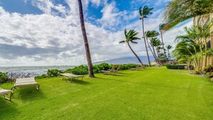 A well-maintained lawn with sun loungers and palm trees, overlooking a body of water. - Kihei Beach, #404 1 Bedroom Condo by RedAwning (Kihei)