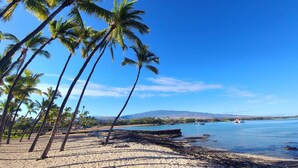 A beach with palm trees, a sandy shore, and a calm sea with boats.