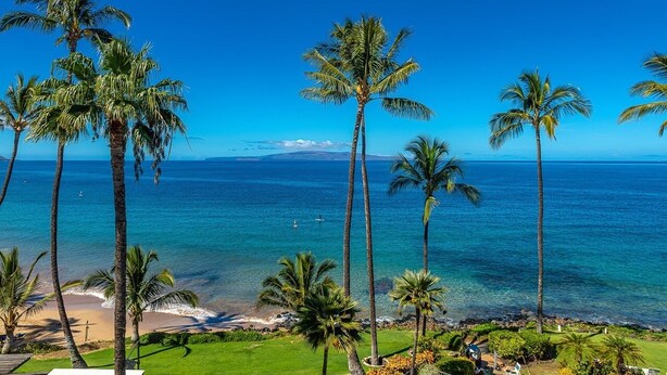Vista de playa con palmeras y cielo azul despejado.