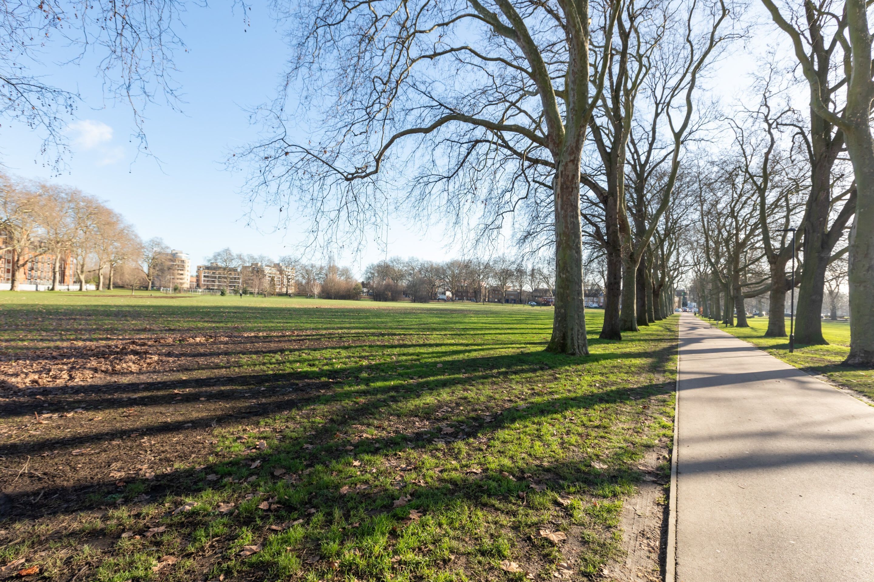 A park with a paved walkway, trees, and open grassy areas.