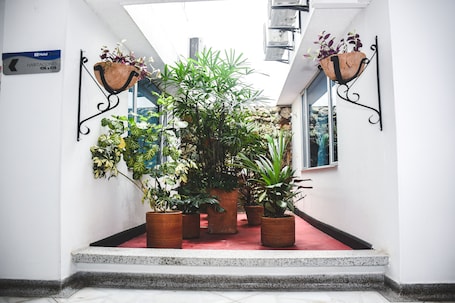Deluxe Double Room | Terrace/patio