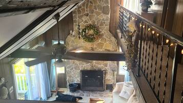 Smart TV, fireplace, DVD player, video library