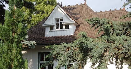 Whole villa on a large garden plot at the park