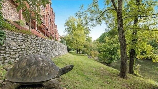 A large tortoise on a grassy path beside a stone wall and a building. - Mountain View Riverfront Condo W/ Balcony, Fishing, Fireplace, Fitness W/ Sauna (Sevierville)