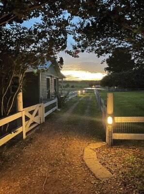 Overnattingsstedets uteområder