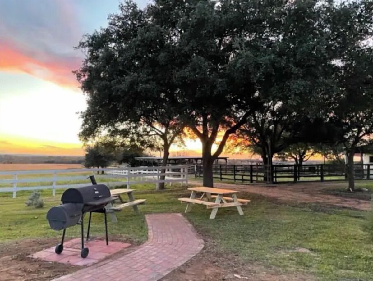 Imagen de perfil del propietario o de la propietaria