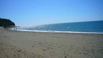Plage, chaises longues