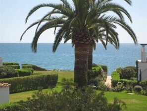 Property grounds - Charming Townhouse, Beachfront, Large Pool, Private Garden, Outside Shower & BBQ (Estepona)