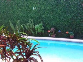 Una piscina rodeada de plantas en macetas y abundante vegetación.