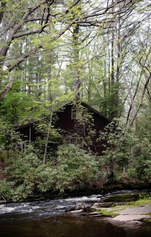 Unclassified image, 3 of 8, button