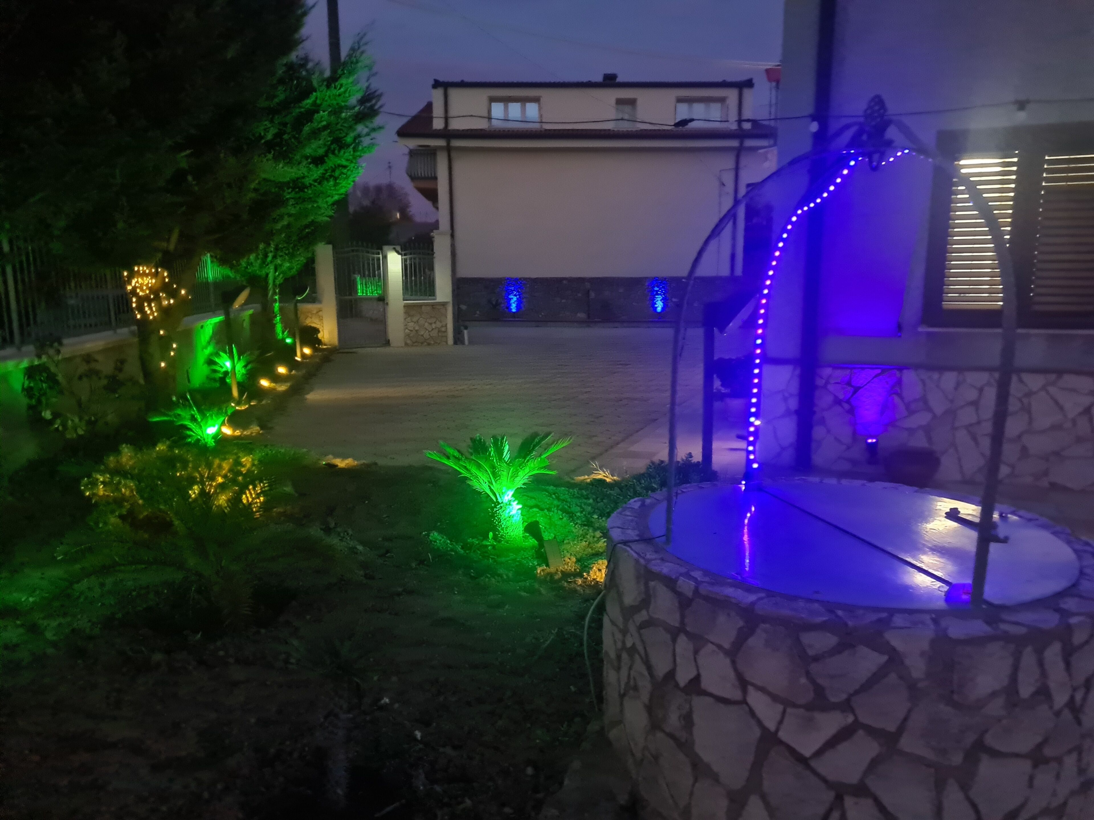 Un jardín con plantas iluminadas y una fuente de piedra.
