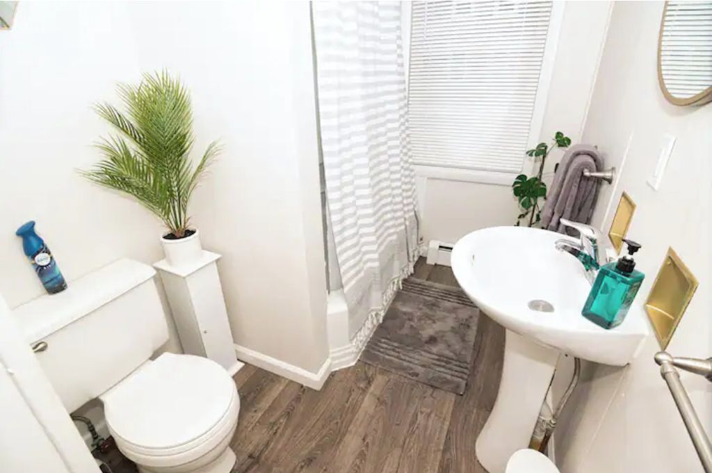 A bathroom with a toilet, sink, shower, and a potted plant.