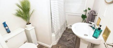 A bathroom with a toilet, sink, shower, and a potted plant.